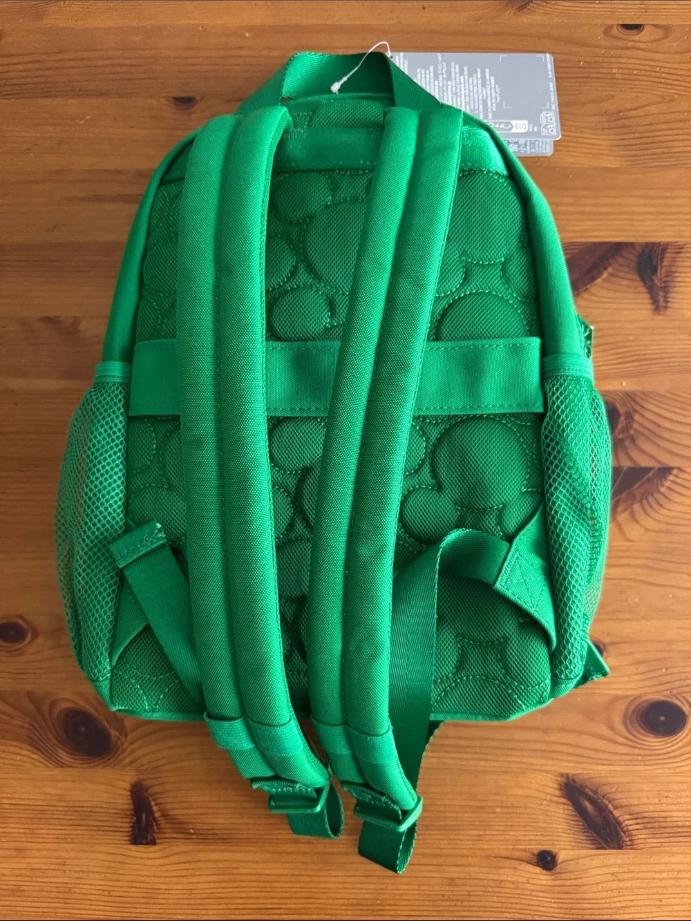Disney Disneyland Resort Green Icon Mania Small Backpack